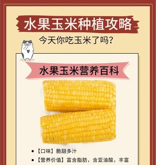 玉米怎么种植方法如下？详细步骤和注意事项是什么？