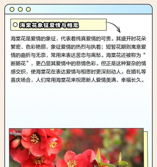 104朵花的寓意是什么意思？花语背后隐藏的含义是什么？