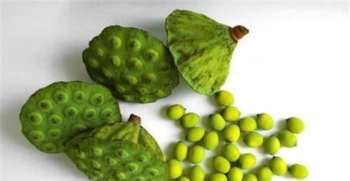 白竹种子种植方法是什么？如何确保成活率高？