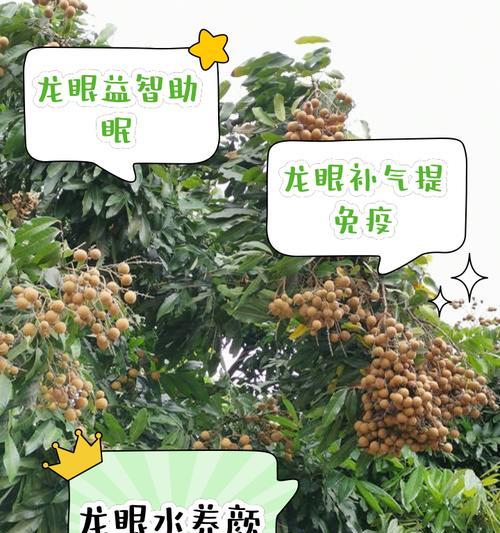 龙眼催芽快的方法是什么？如何快速让龙眼种子发芽？