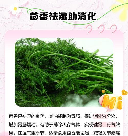 茴香怎么种植方法？有哪些注意事项？