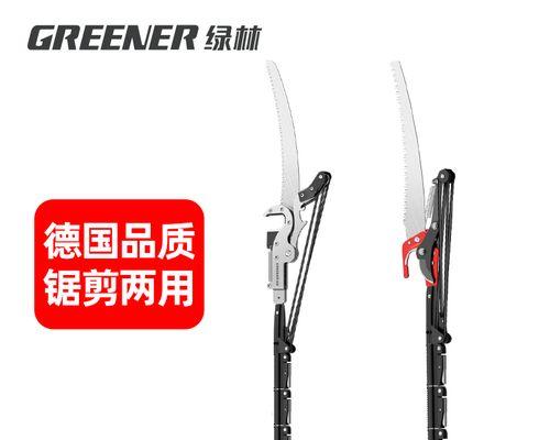 给树修剪枝叶怎么修剪？修剪的最佳时期是什么时候？