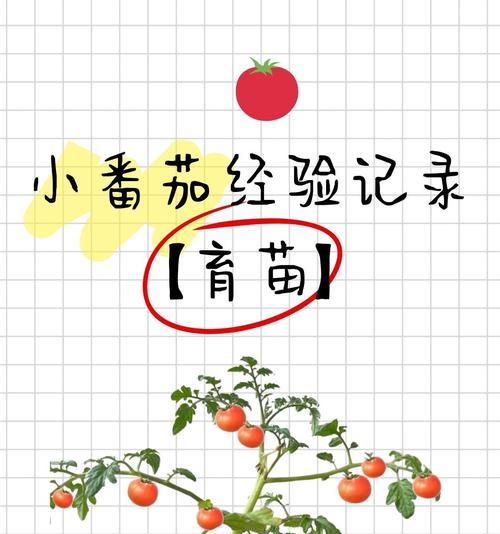 小番茄种子催芽方法是什么？需要多长时间才能发芽？