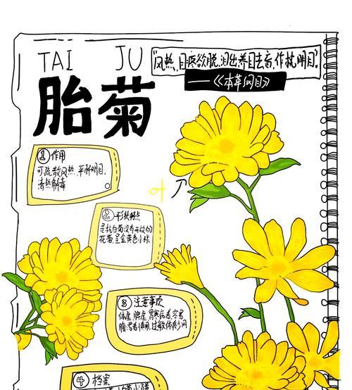 菊花种子种植方法有哪些？步骤是什么？