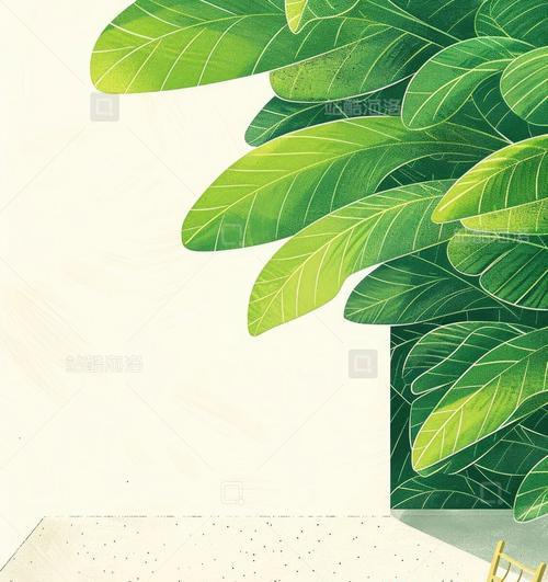 竹子西瓜怎么种植方法？有哪些注意事项？