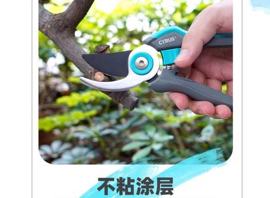 修剪绣球剪刀怎么剪枝？正确剪枝方法有哪些？