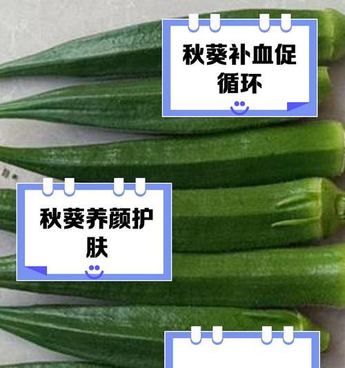 秋葵种子催芽方法是什么？需要多长时间才能发芽？