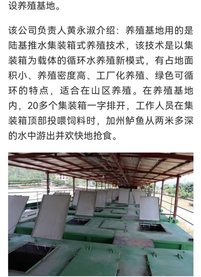 荷香怎么种植方法？从播种到开花的完整步骤是什么？