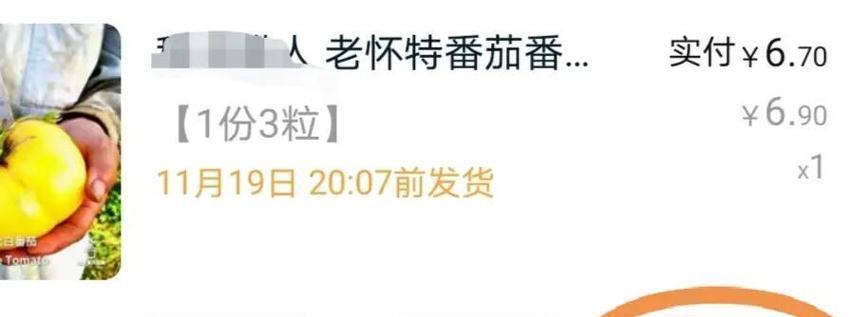 大番茄种子催芽方法是什么？需要多长时间？