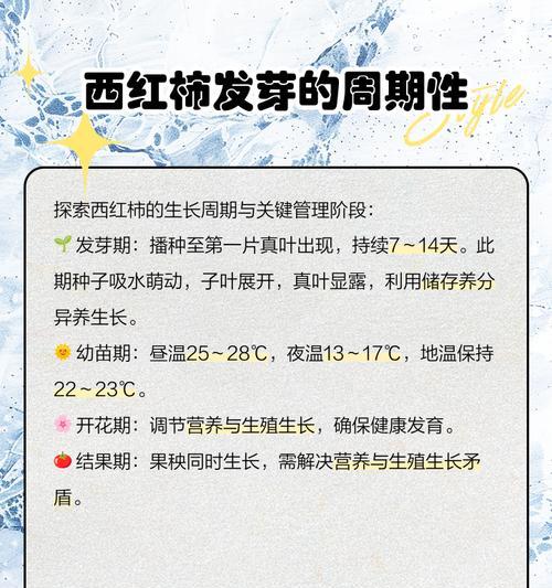 大番茄种子催芽方法是什么？需要多长时间？