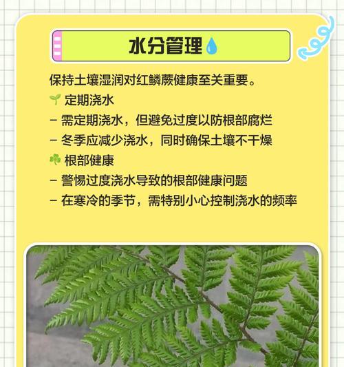 红鳞蕨催芽方法是什么？需要多长时间才能发芽？