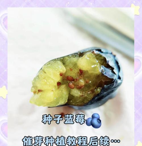 种子地坑催芽怎么种植？种植过程中需要注意哪些问题？