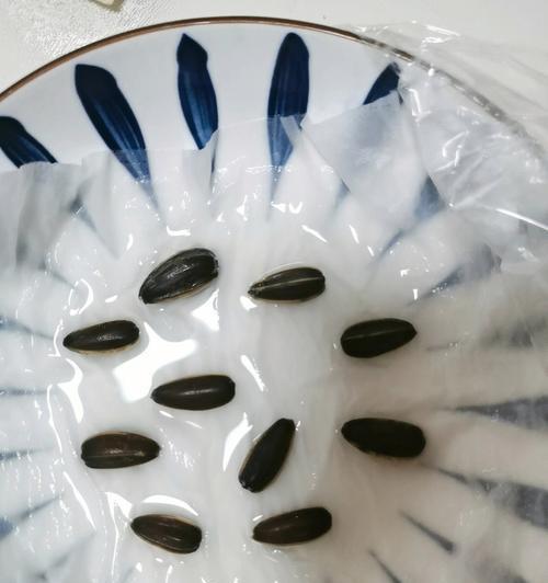 莼菜种子催芽方法是什么？需要多长时间才能发芽？