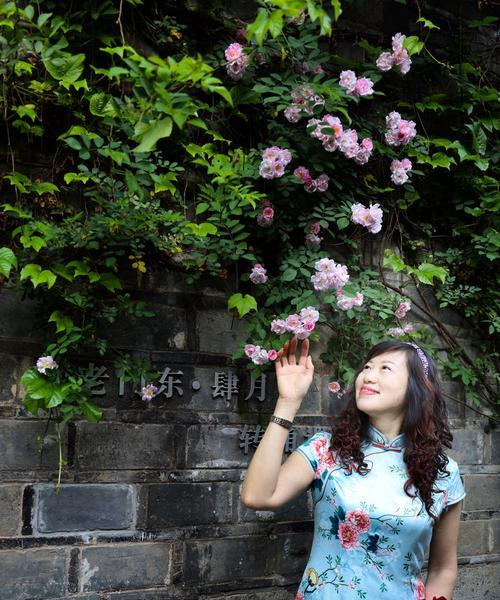 阁楼之花的寓意及象征