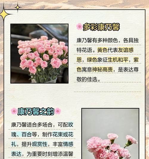 温柔力量花语是什么？如何用花语表达温柔的力量？