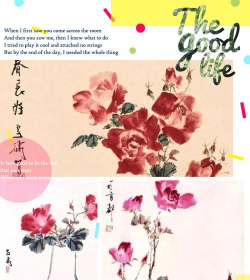 插月季花有什么的寓意？月季花的象征意义是什么？