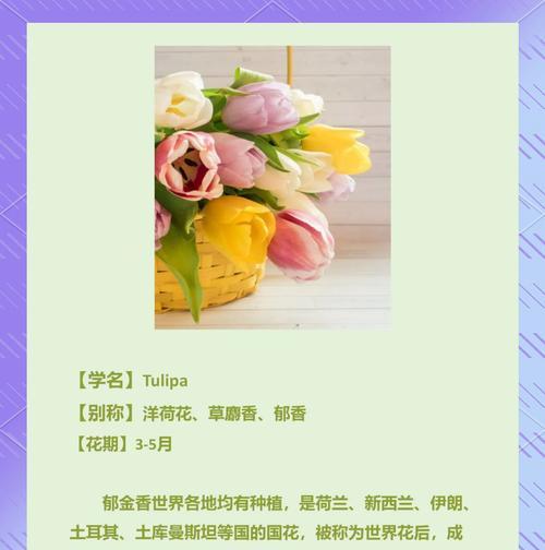 什么花语代表纯洁和神秘？揭秘最符合的花卉选择！！