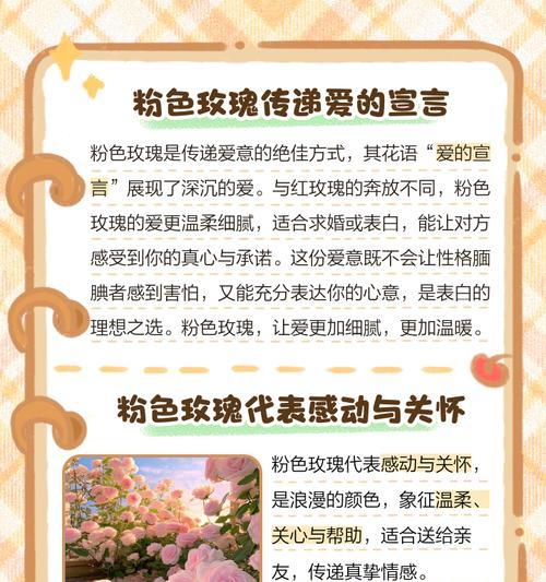 各色玫瑰花语代表什么？不同颜色玫瑰的含义是什么？