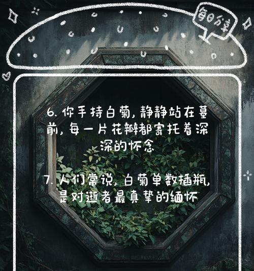 白菊花花语代表什么？如何正确解读白菊花的含义？