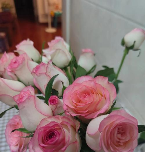 爱莎玫瑰花的花语和寓意是什么？如何表达爱意？