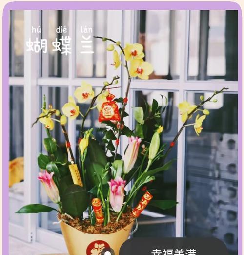鲜花和花的寓意是什么意思？如何正确理解各种花的象征意义？