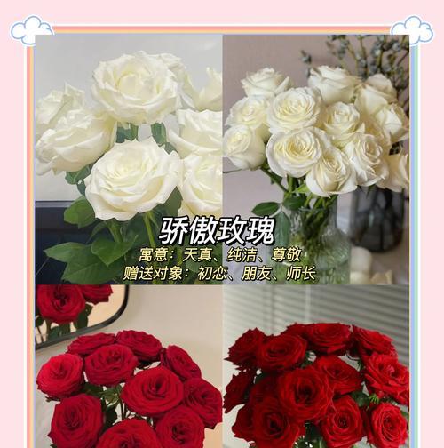 接近玫瑰花语是什么？如何理解接近玫瑰的含义？