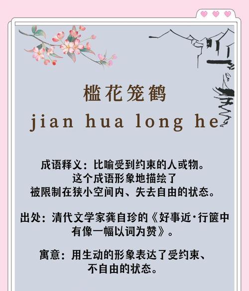 飞鹤花象征着什么？飞鹤花的含义有哪些常见误解？