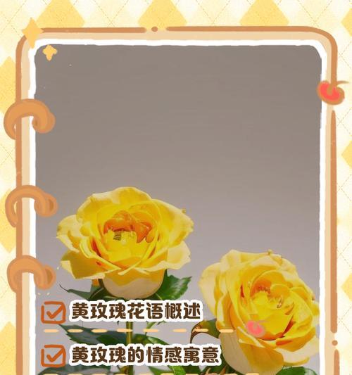 黄玫瑰的花语代表什么？黄玫瑰传递的含义有哪些？