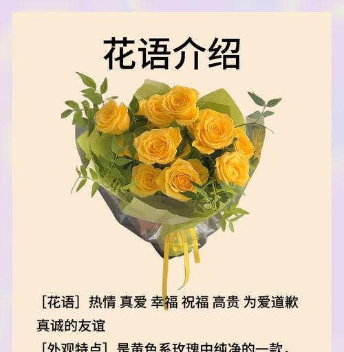黄玫瑰的花语代表什么？黄玫瑰传递的含义有哪些？