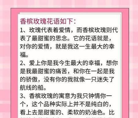 玫瑰花语每朵代表什么？不同数量玫瑰花的含义解析？