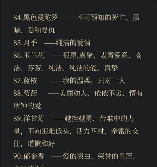 什么花代表坚持？揭秘坚持花语的花卉种类？