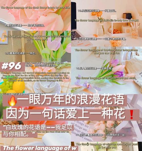 火焰血色玫瑰代表什么含义？花语有哪些？