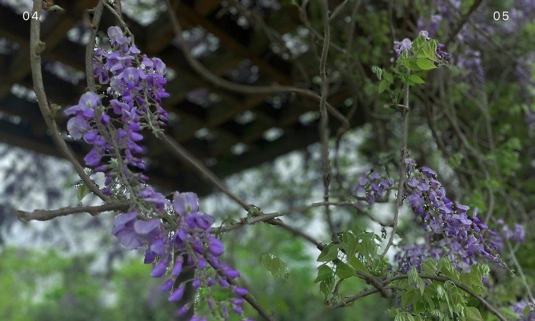 花阁的寓意象征是什么？花阁代表了哪些文化意义？