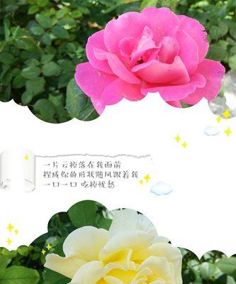 花阁的寓意象征是什么？花阁代表了哪些文化意义？