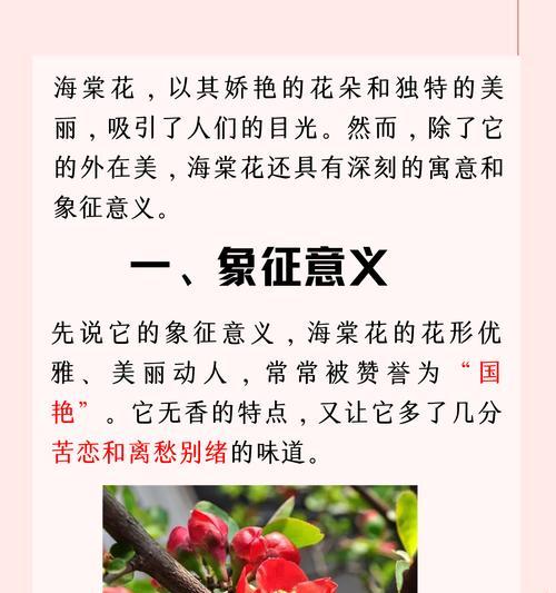 紫楹花的寓意与象征是什么？了解其背后的文化意义？