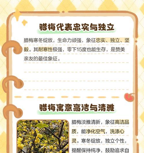 金丝腊梅花语是什么？了解金丝腊梅的象征意义和花语含义？