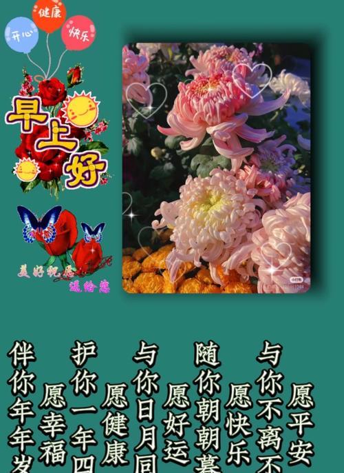 什么花代表平安？揭秘花语中的吉祥寓意