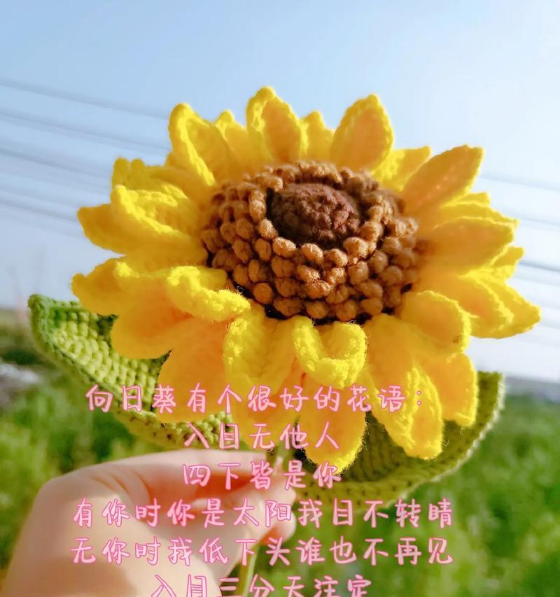 野生小猫花语是什么？如何解读它们的含义？