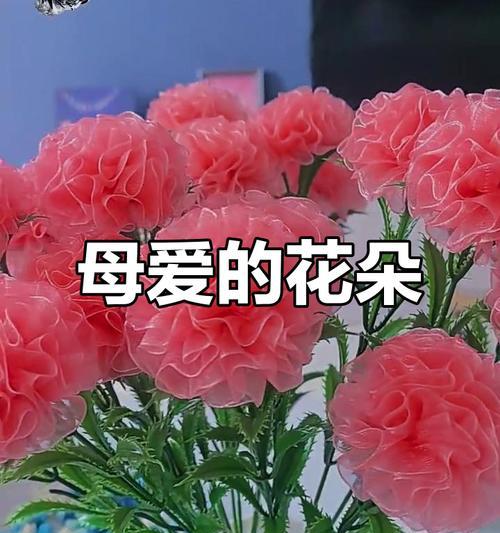 象征母亲的是什么花？母亲节送什么花最合适？