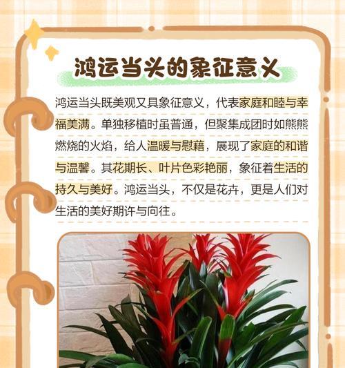 红蓝相间的花象征什么？花语背后的含义是什么？