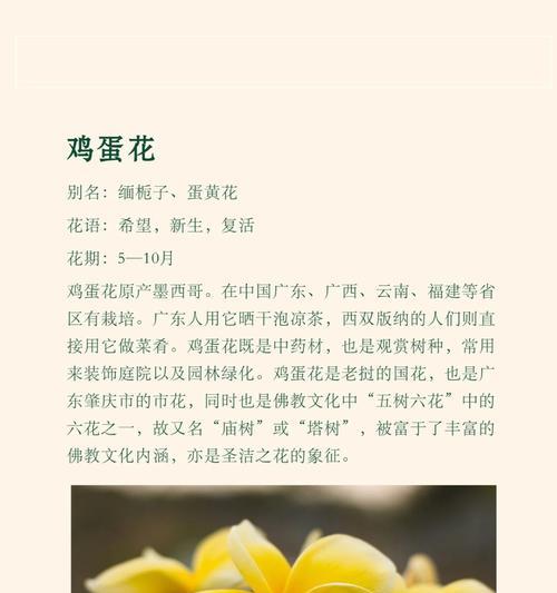 什么花代表放弃？揭秘花语背后的情感含义？