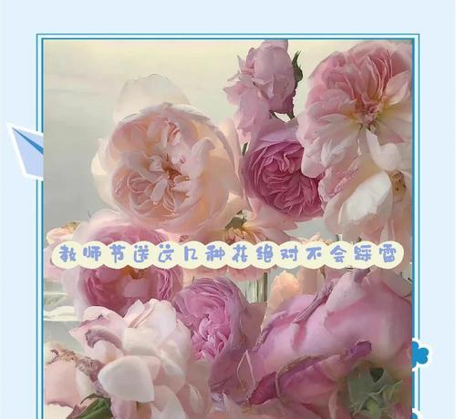 师生寓意的花是什么花啊？哪种花象征着师生情谊？