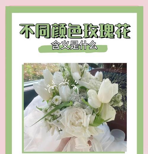 什么颜色的花寓意不好呢？如何选择寓意吉祥的花卉？