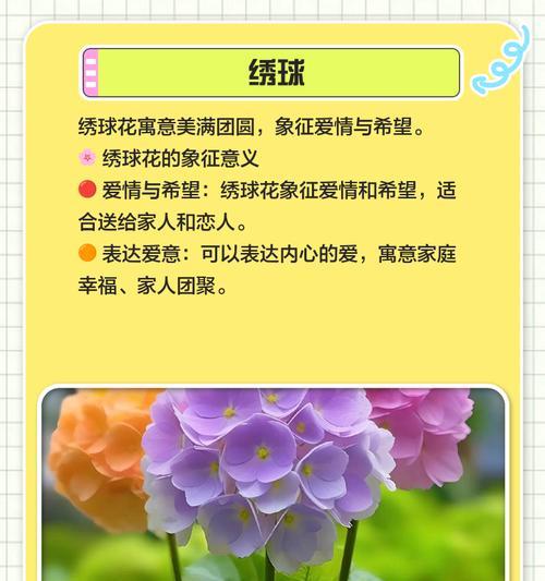 送什么象征长久幸福的花？哪种花代表永恒的爱？