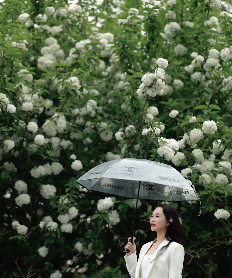 什么花象征和谐友善的爱情？揭秘和谐爱情的花卉代表