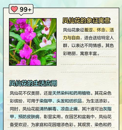 花恋的寓意和象征是什么？花语中隐藏的深层含义解读？