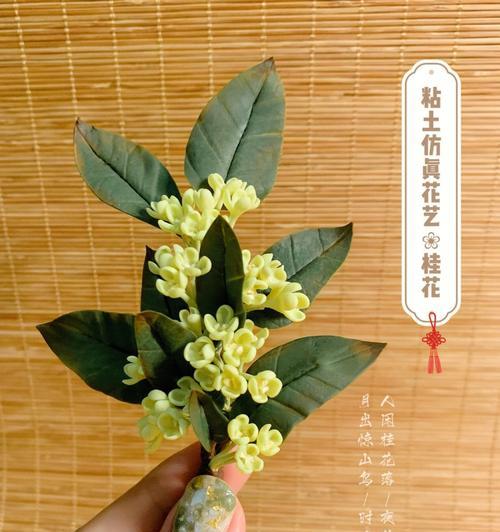 粘土花的寓意和象征是什么？如何用粘土花表达情感？