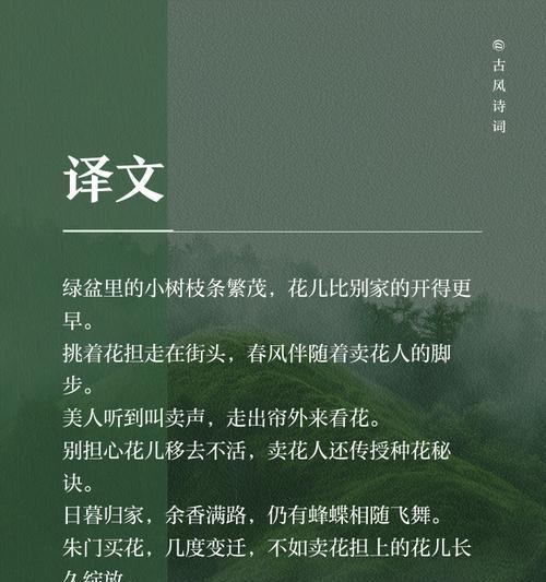 什么花代表了哪位诗人的思想？如何通过花卉理解诗人的情感世界？