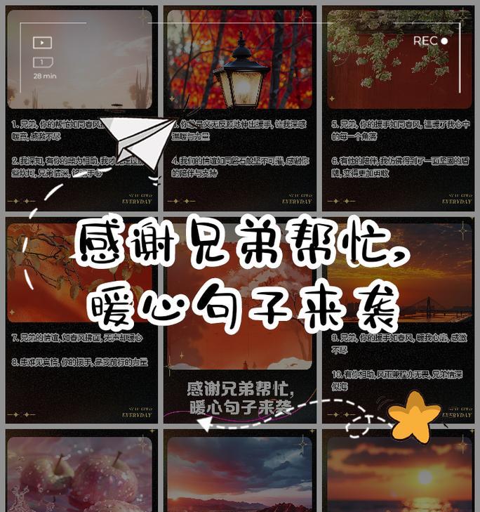 什么花象征兄弟的友谊坚不可摧？如何用花卉表达兄弟情谊？
