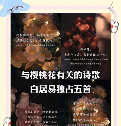 樱桃的花语是什么？了解樱桃花的象征意义和用途？